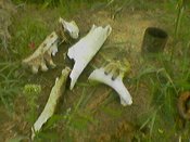 050730_135819.jpg
