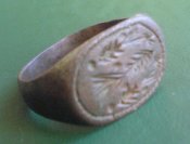 DSC00534.JPG