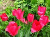 IMG_0347.jpg