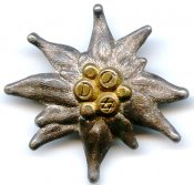 Эдельвейс ав..jpg