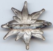 Эдельвейс рев..jpg