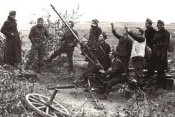 fot28s-m.jpg