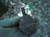 DSC07681.JPG