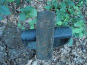 DSC07664.JPG