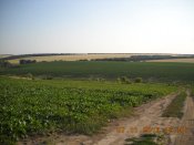 DSCN1597.JPG
