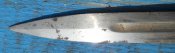 DSCN4784.JPG
