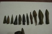 DSC01703.jpg