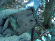 DSC07683.JPG
