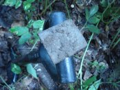 DSC07684.JPG