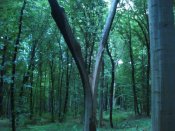 DSC07685.JPG