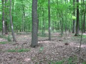 IMG_0758.JPG