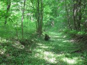 IMG_0763.JPG