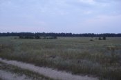 DSC01704.jpg