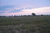 DSC01707.jpg