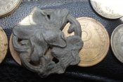 DSC01719.jpg