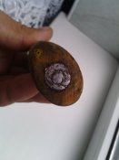 IMG_20130714_151236.jpg