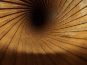 DSCF0601 (Копировать).JPG