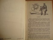 А.Кулешов "Ночное солнце"