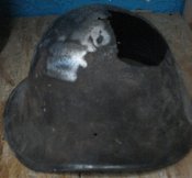 DSC05089.JPG