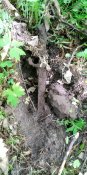 IMG_20220521_111740.jpg