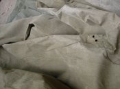 DSC09541.JPG