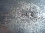 DSC00598.JPG