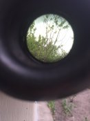 IMG_0341.JPG