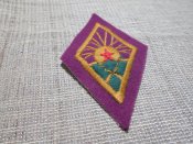 Нарукавная нашивка бойца пехоты РККА 1919 - 1925