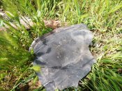 IMG_20220521_115516.jpg