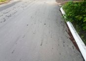 IMG_20220520_055300~2.jpg