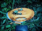 IMG_20220522_230700~2.jpg
