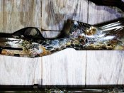 Ружье Ata Arms NEO12 Synthetic кал. 12/76