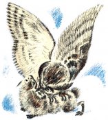 i_012.jpg