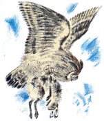 i_014.jpg
