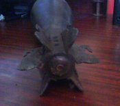 DSC02301.jpg