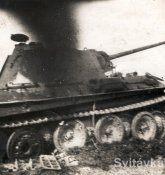 panther034steelwheel7uz.jpg