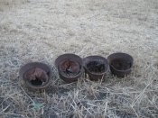 IMG_1956.jpg