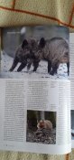Журнал  "Полюваня і зброя'.