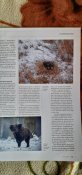 Журнал  "Полюваня і зброя'.