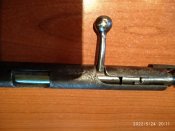 IMG_20220524_201128.jpg
