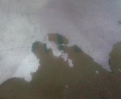 IMG_20220525_081313_792.jpg