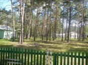 DSCN0479.JPG