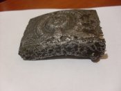 SDC12891.JPG