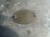 20220525_054306.jpg