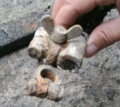 Клема + бандаж с 251 бтр.