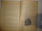 В.Синенко "Операция "Килия-Веке"