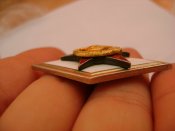 DSC03809.JPG