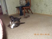 DSCN1306.JPG