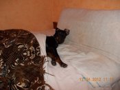 DSCN2438.JPG