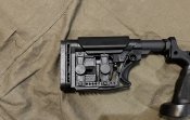 AR 10 win308 Windham